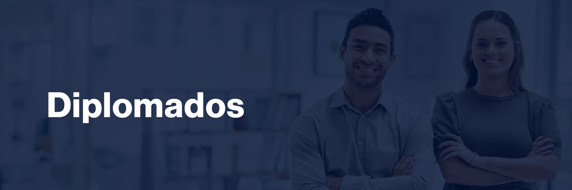banner diplomados